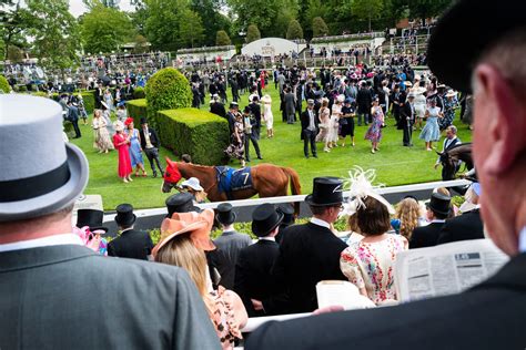 black bbc porn|Royal Ascot Was Awash in Extravagant Hats .